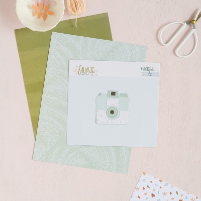 Cortante | Camara | Salvaje | Mintopía