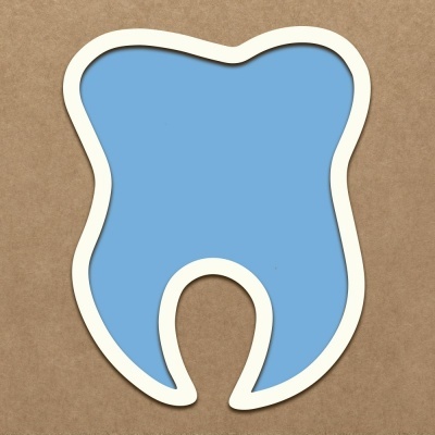 Shaker | Dente | Kora Projects