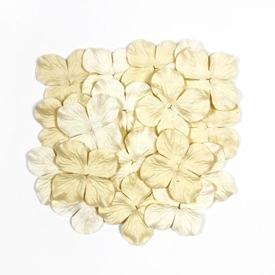 Flores Papel Toscana | Creme