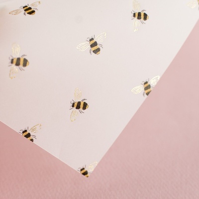 Papel Vegetal | Siempre Jane | Sami Garra