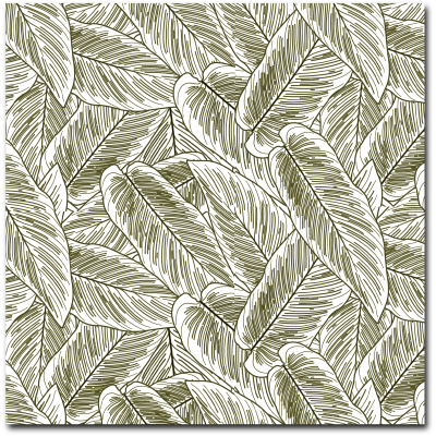 Papel Vegetal | SpeakEasy