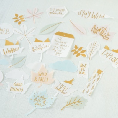 Die Cuts | Papel Vegetal | Salvaje | Mintopía