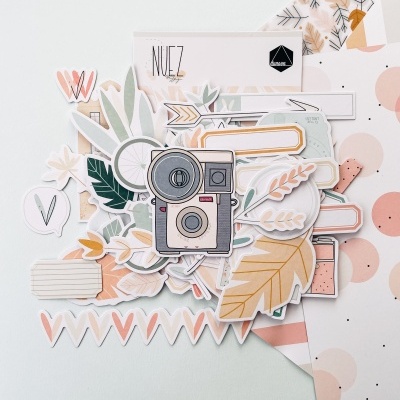 Die Cuts | Nuez | Duna On