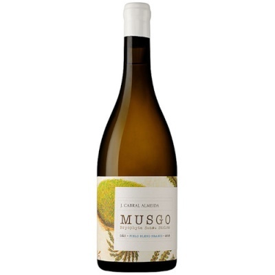 Musgo Reserva Branco, J. Cabral Almeida