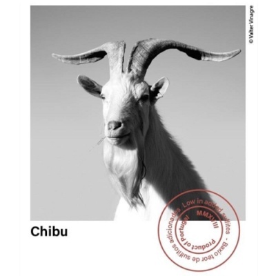 Planet Mouraz "Chibu" Tinto