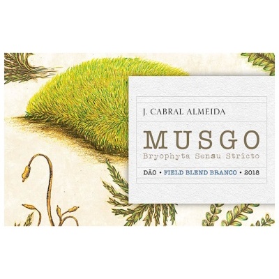 Musgo Reserva Branco, J. Cabral Almeida