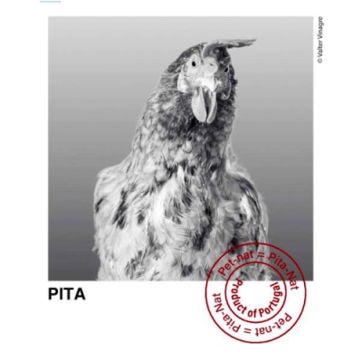 Planet Mouraz "Pita" Pet Nat Branco