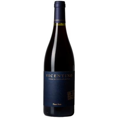 Vicentino Pinot Noir