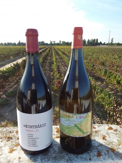 Ao Contrário Tinto - Soc. Agr. Areias Gordas