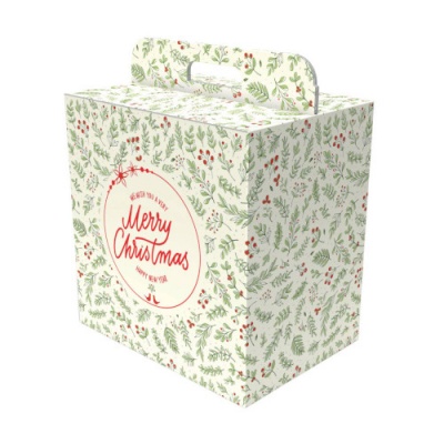 Caixa Cartão Merry Berry com Pega