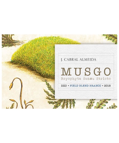 Musgo Reserva Branco, J. Cabral Almeida