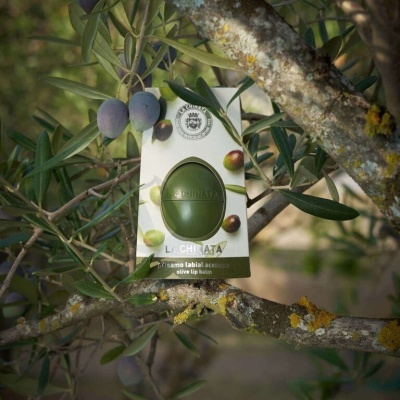 Bálsamo Labial Azeitona 10g - La Chinata