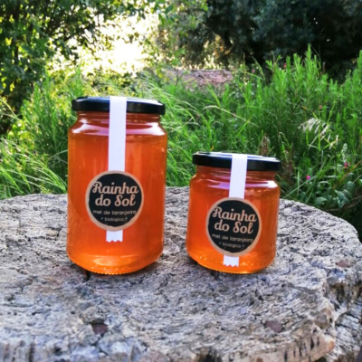 Mel de Flor de Laranjeira 250g BIO - Rainha do Sol