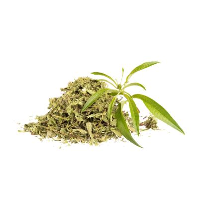 Verbena 20g