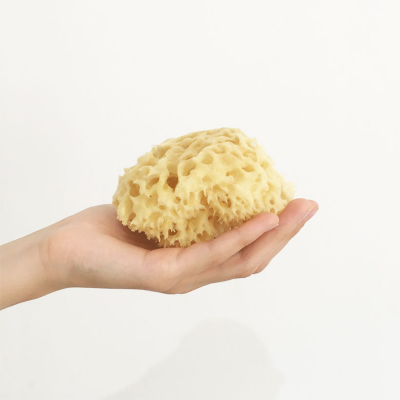 Esponja de Banho Natural Croll & Denecke