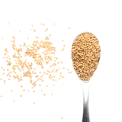 Sementes de Mostarda 20g