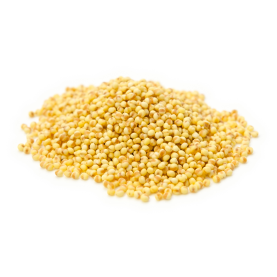 Millet BIO 100g