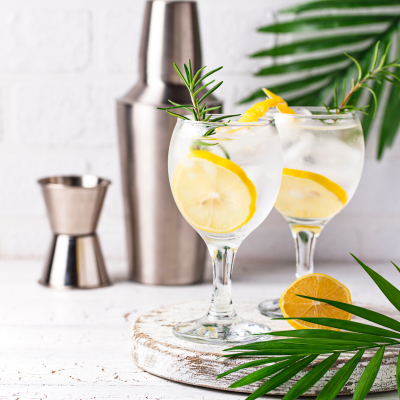 Bebidas Espirituosas