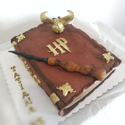 Bolo Livro Harry Potter