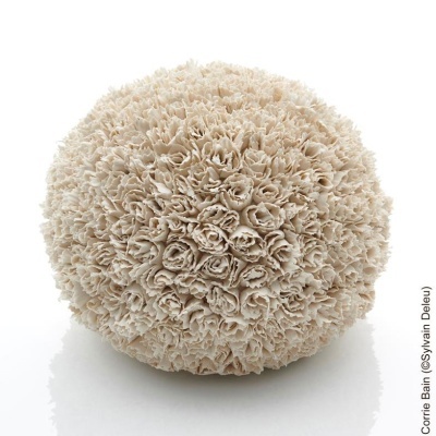 Pasta Cerâmica SiO-2 ANETO Branca – Porcelana - 5 kg