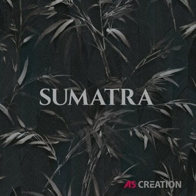 Papel de Parede Tropical - Sumatra