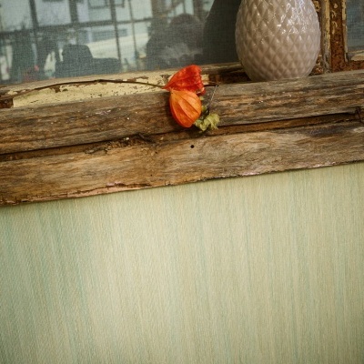 Papel de Parede Tropical, Folhas, Uni, Verde 32883-9