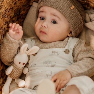 Jardineiras em bombazine com animais da floresta | BUNNY AND FRIENDS Wedoble