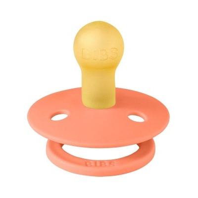 Chupeta Bibs Papaya/Violet Sky