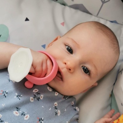 Mordedor Cogumelo Mimi