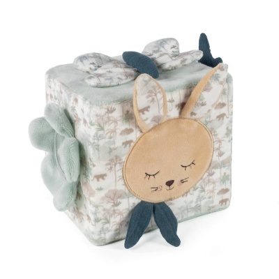 Cubo de atividades - Serengueti