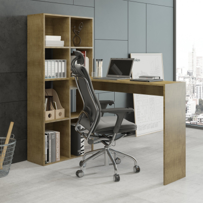 Secretaria Eko com Estante