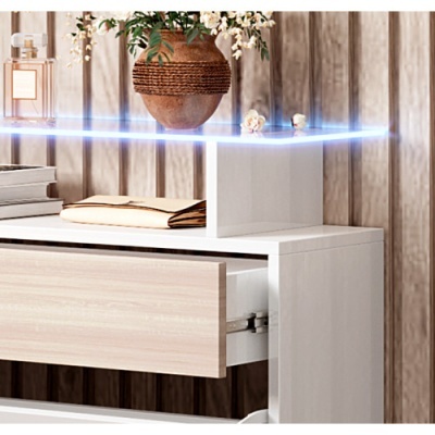 Sapateira / Móvel Palton