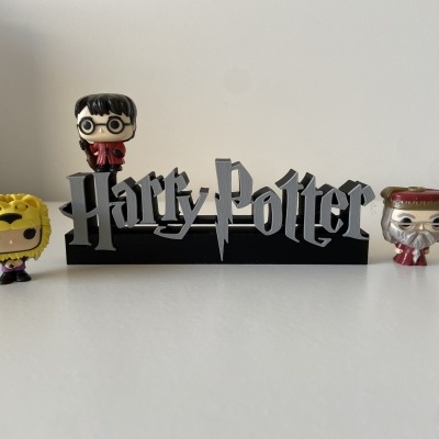 Peça decorativa "Harry Potter"