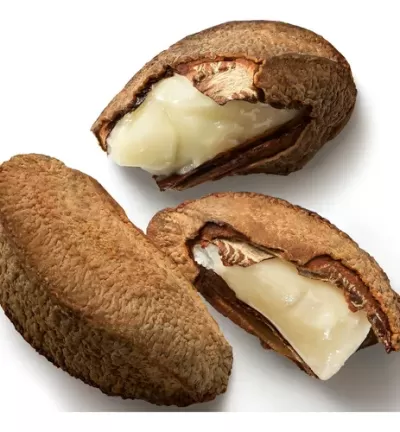 CREME ESFOLIANTE PARA MÃOS E PÉS CASTANHA – EKOS – 60G