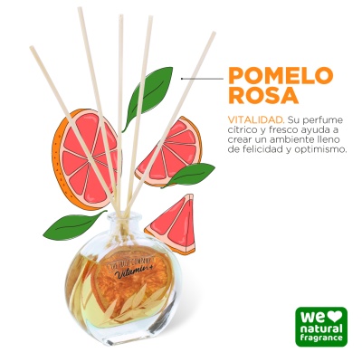 MIKADO VITAMIN+ TORANJA ROSA - VITALIDADE 75ML