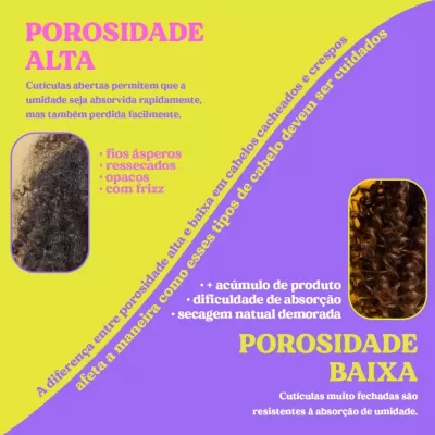 Comparação entre cabelo com porosidade alta e baixa com texto explicativo em fundo amarelo e lilás.