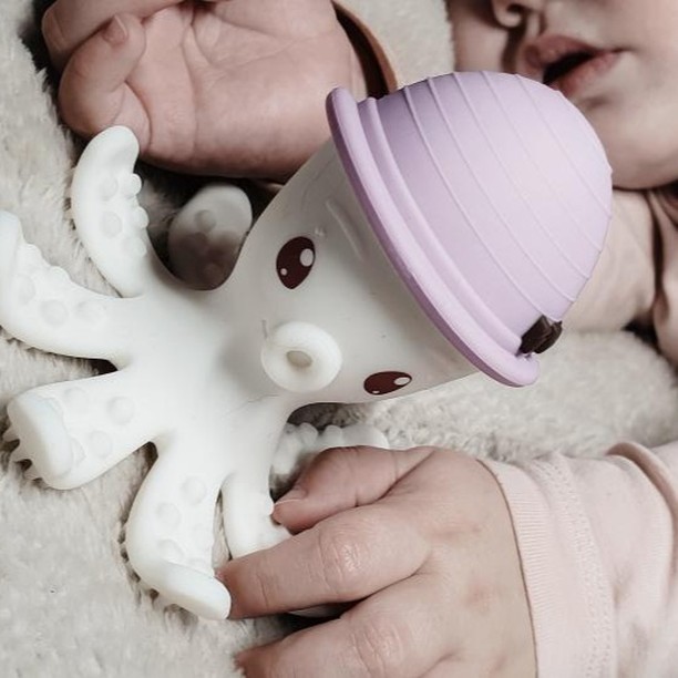 Como escolher o mordedor perfeito?