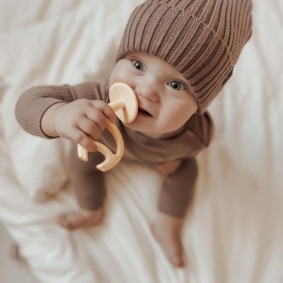 Mordedor - indispensável durante a dentição