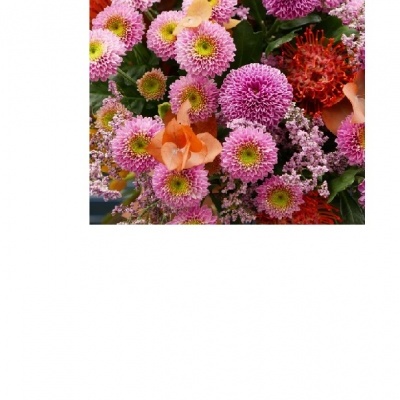 Bouquet de fleurs d'automne - Brimbois