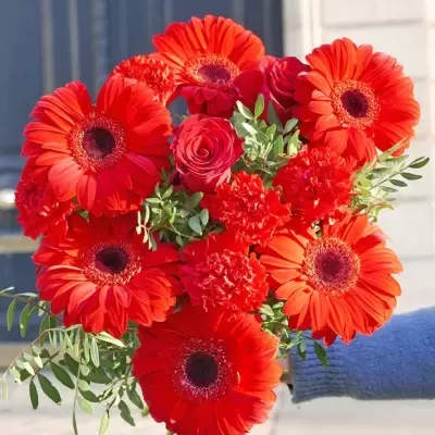 Bouquet de Flores - Ternura