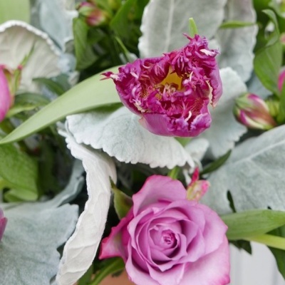 BOUQUET D'HIVER - PRAGUE