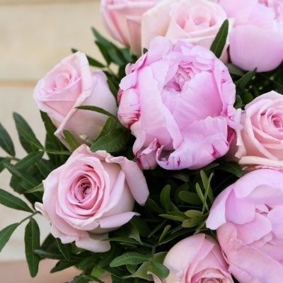 BOUQUET DE PEÔNIAS - HYPATIE