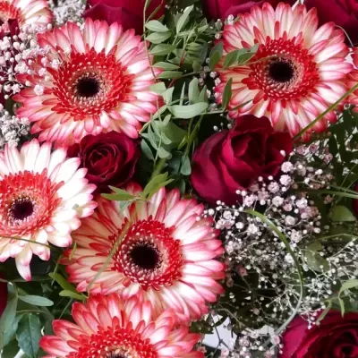 BUQUÊ DE AMOR - DECLARAÇÃO