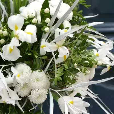 BOUQUET SAZONAL - CASSIOPEIA