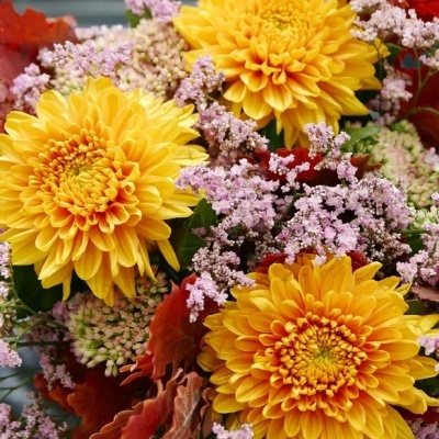 Bouquet de fleurs d'automne - Cerfontaine