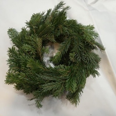 Guirlanda de ramos verdes de pinheiro sobre fundo branco