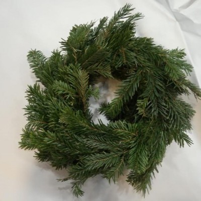 Guirlanda verde circular com ramos de folhas finas e longas sobre fundo branco