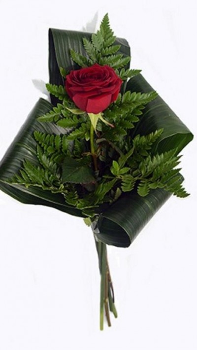 Arranjo com Rosa Arranjo com Rosa