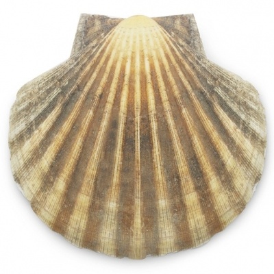 Bouquet Personalizado e Acessórios