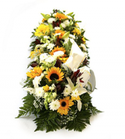 Palma Memória (PA 043)